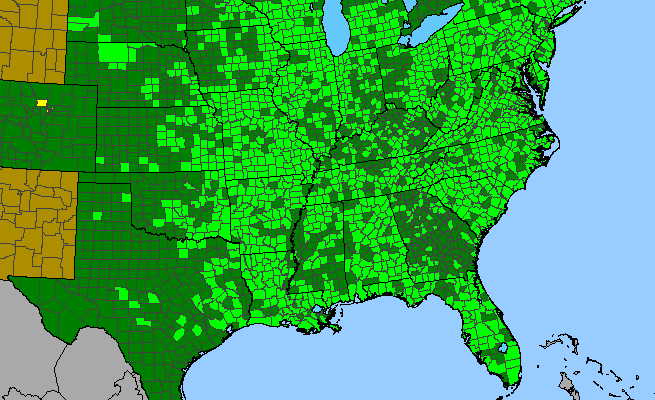 The range of Apios americana